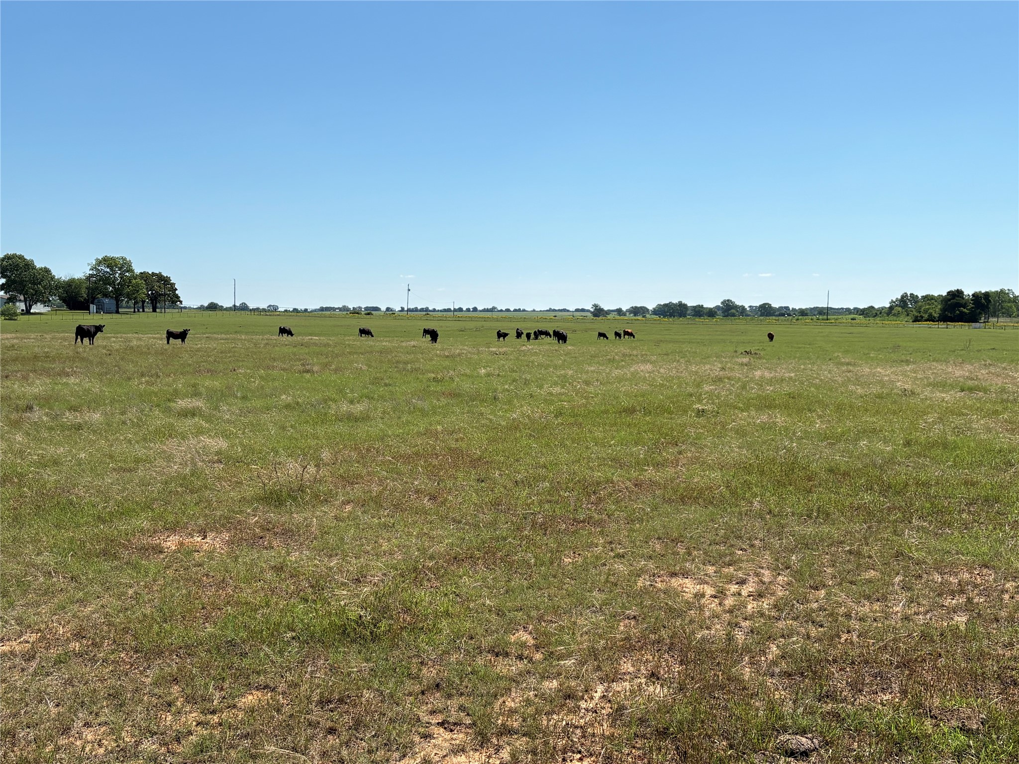 2966 Highway 679 Gorman TX 76454