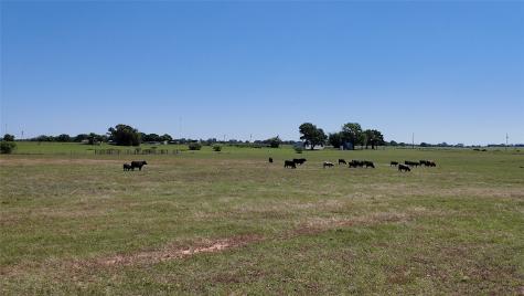 2966 Highway 679 Gorman TX 76454