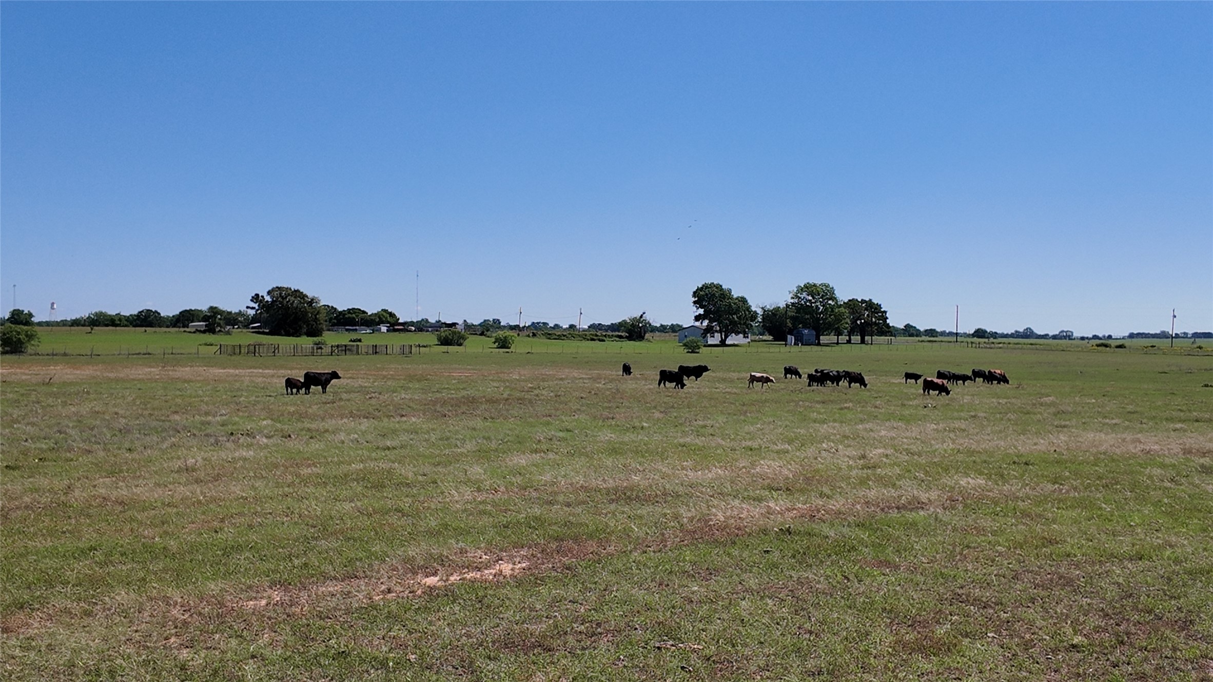 2966 Highway 679 Gorman TX 76454