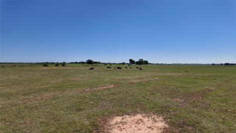 2966 Highway 679 Gorman TX 76454
