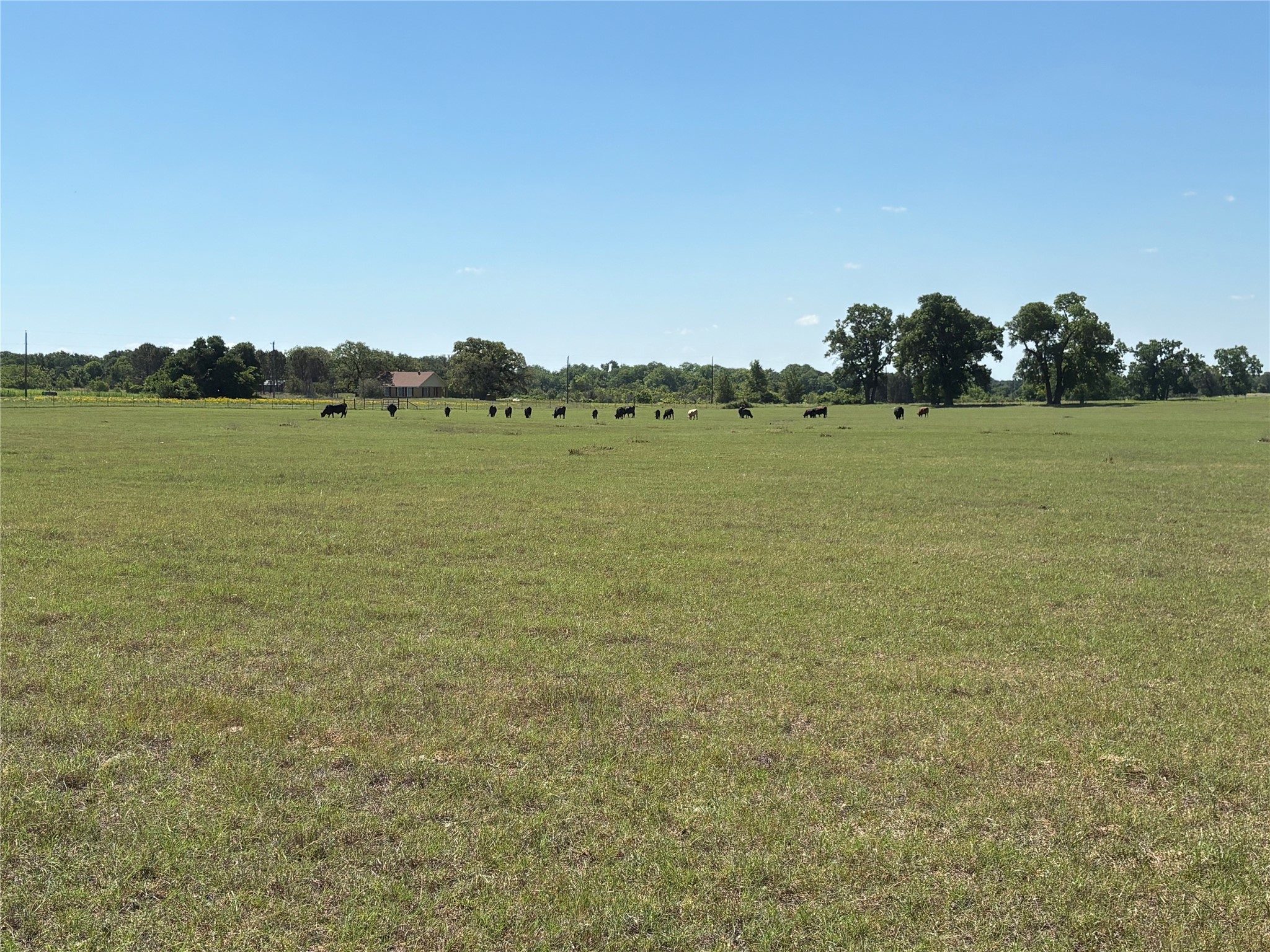 2966 Highway 679 Gorman TX 76454