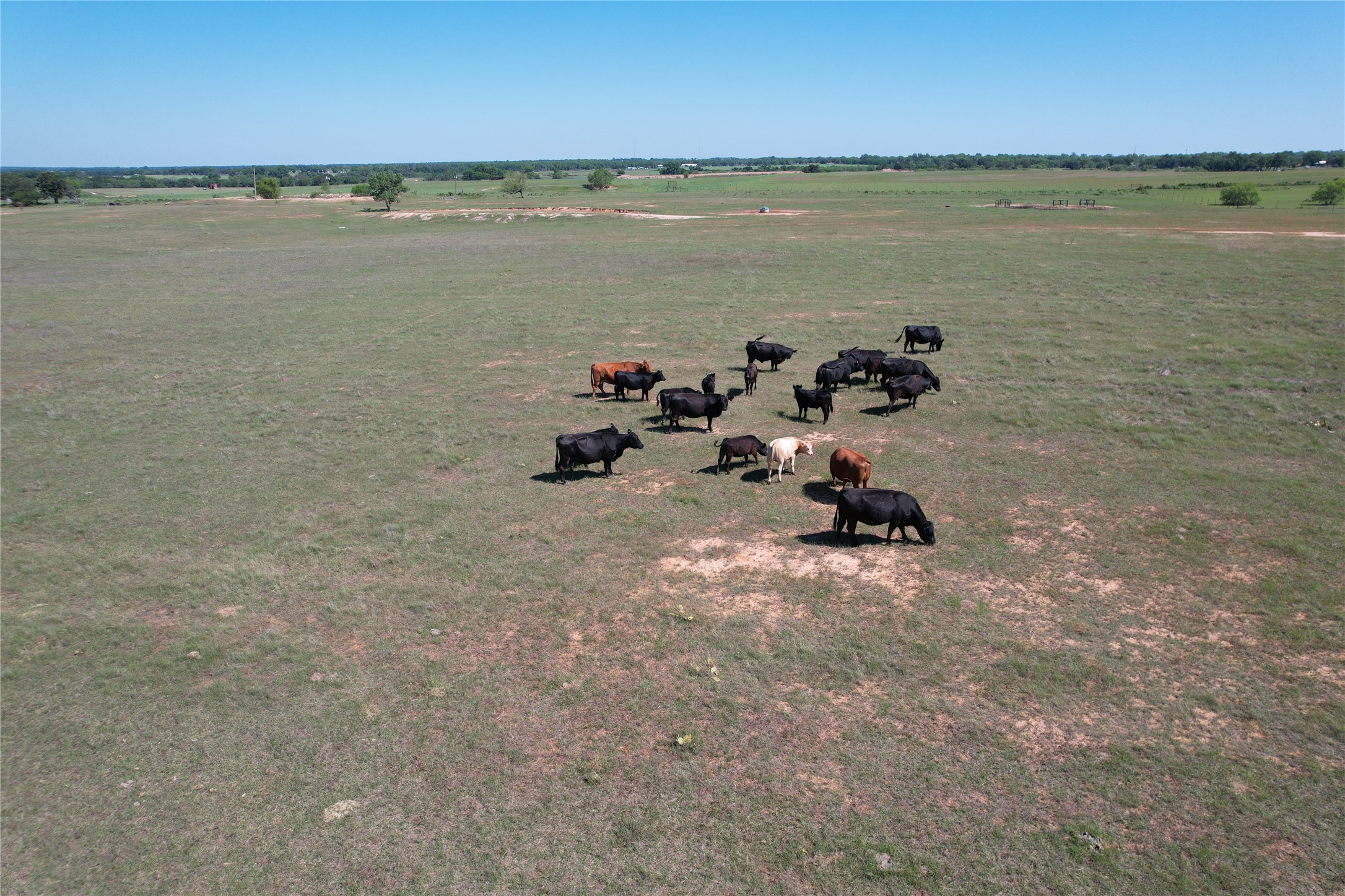 2966 Highway 679 Gorman TX 76454