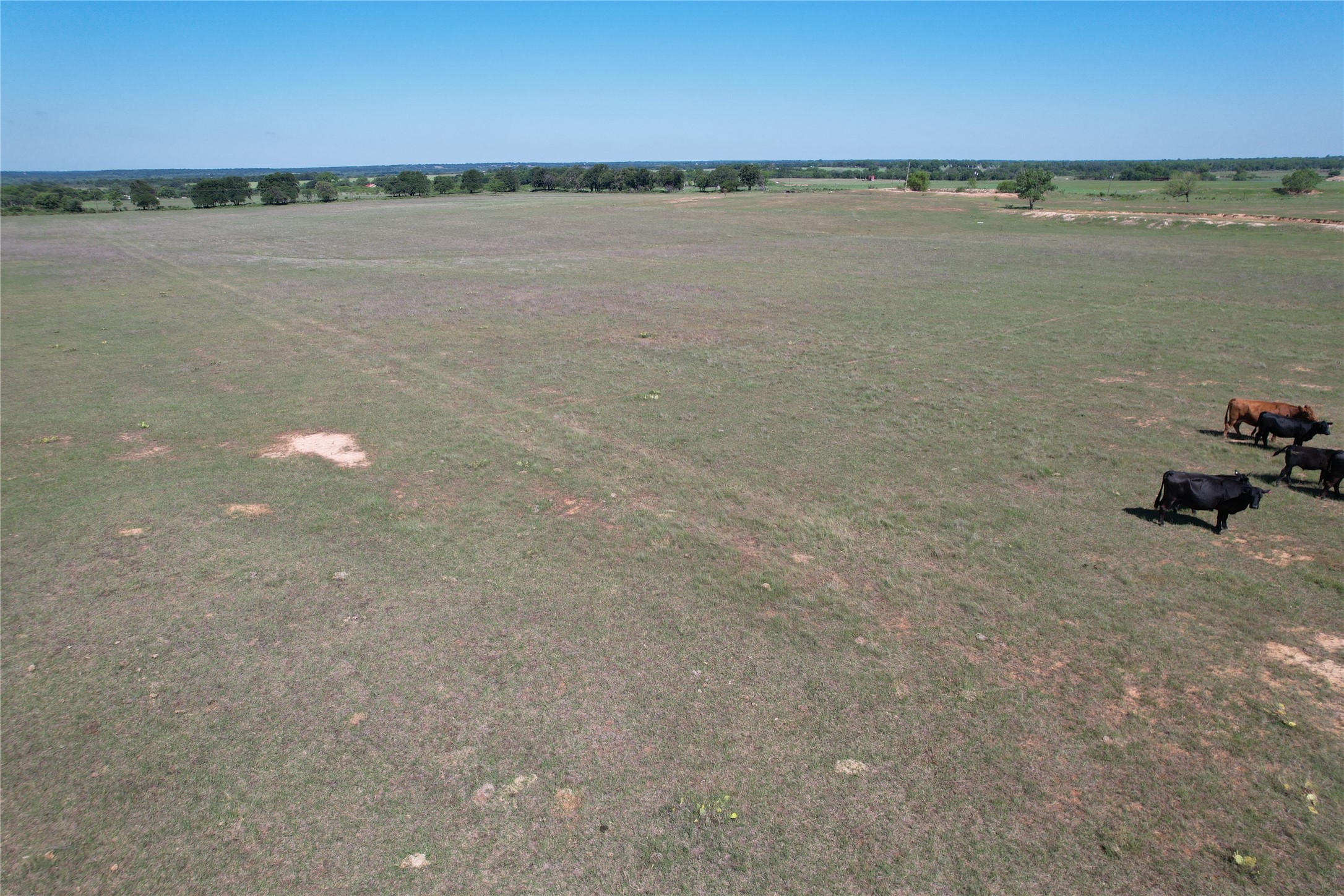 2966 Highway 679 Gorman TX 76454