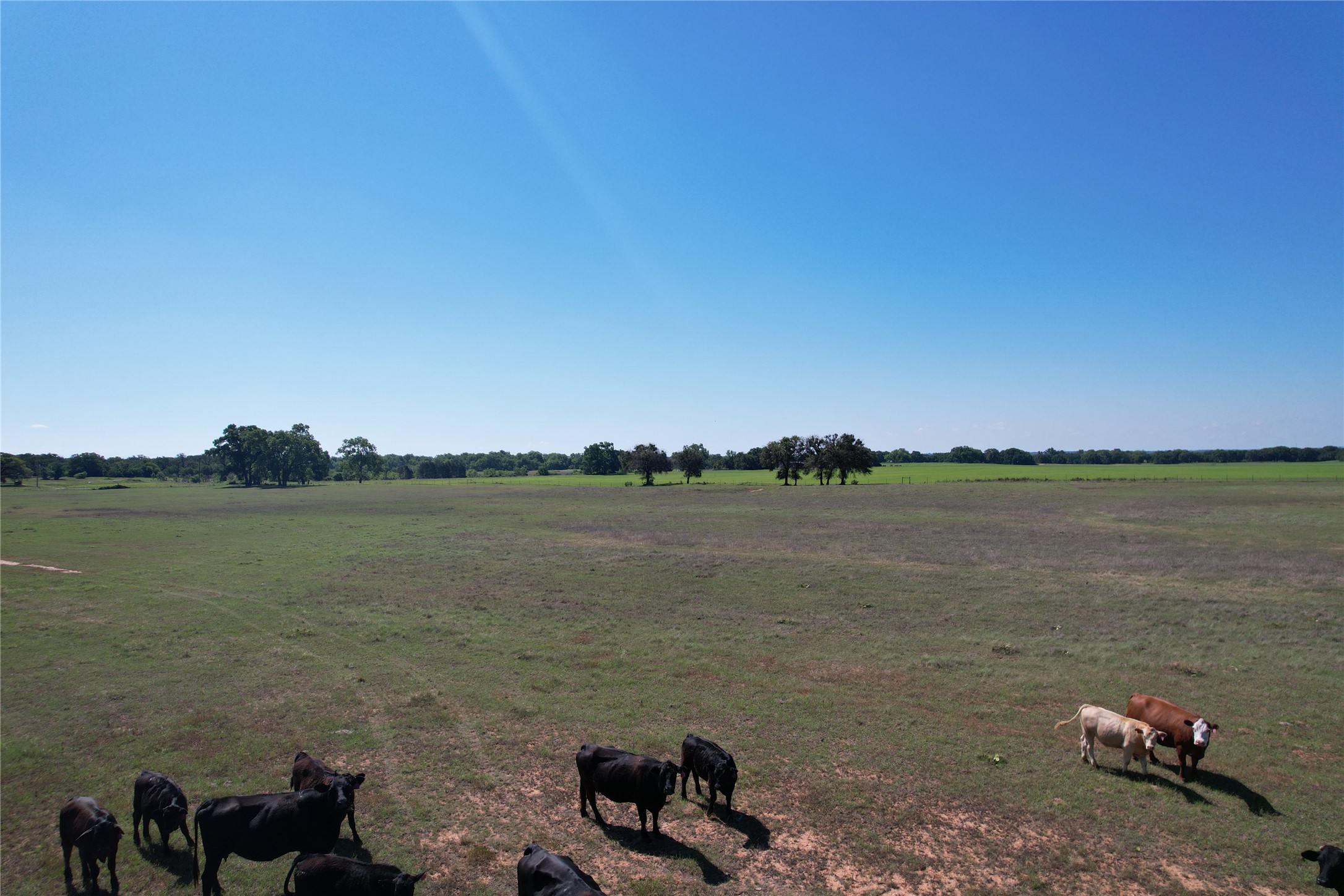 2966 Highway 679 Gorman TX 76454