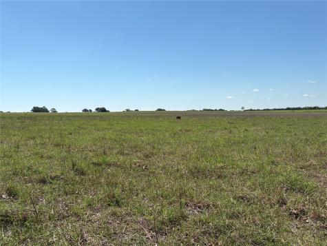 2966 Highway 679 Gorman TX 76454