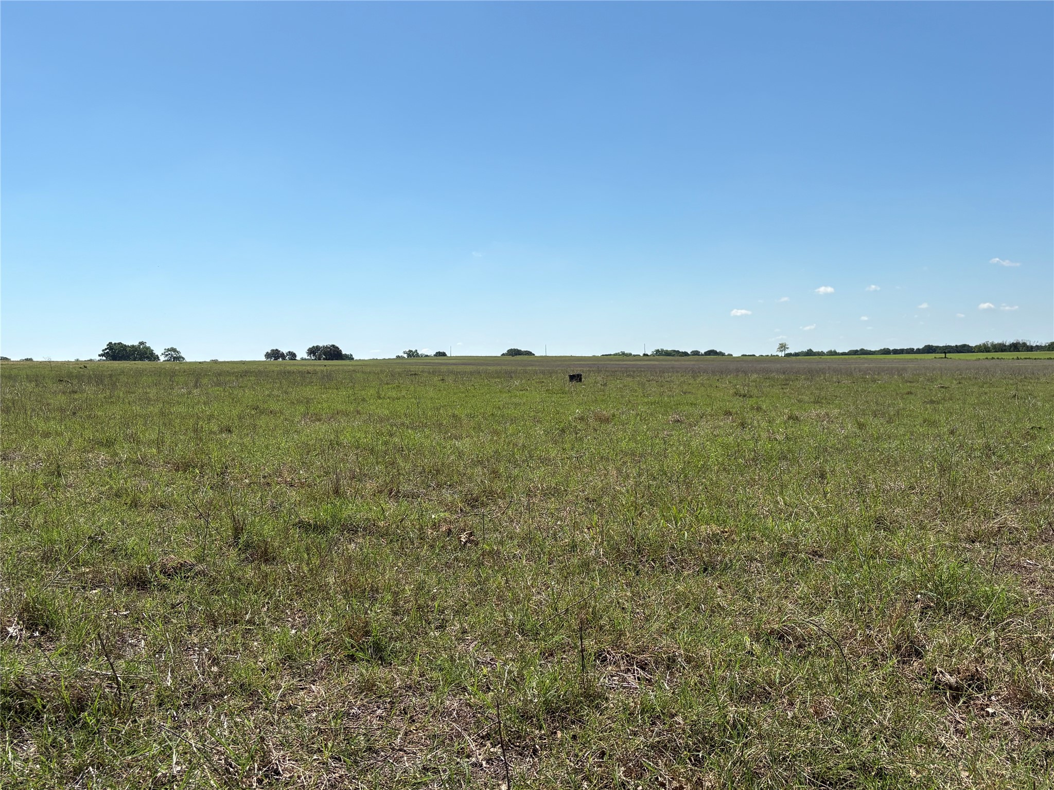 2966 Highway 679 Gorman TX 76454