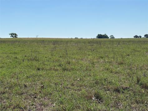 2966 Highway 679 Gorman TX 76454