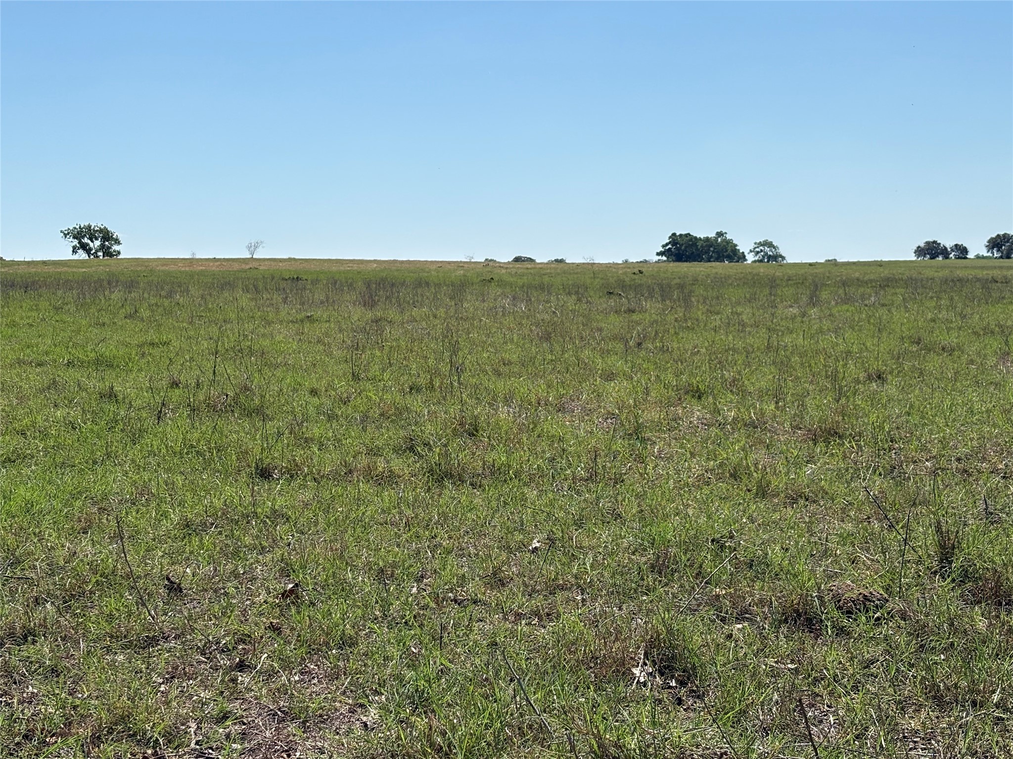2966 Highway 679 Gorman TX 76454