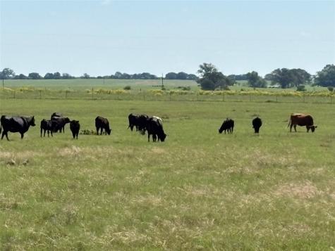 2966 Highway 679 Gorman TX 76454