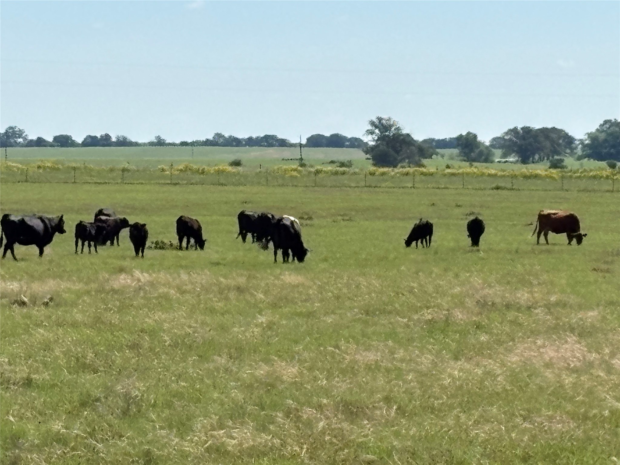 2966 Highway 679 Gorman TX 76454