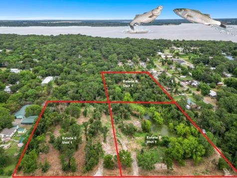 Tbd George A. Green Drive Gordonville TX 76245
