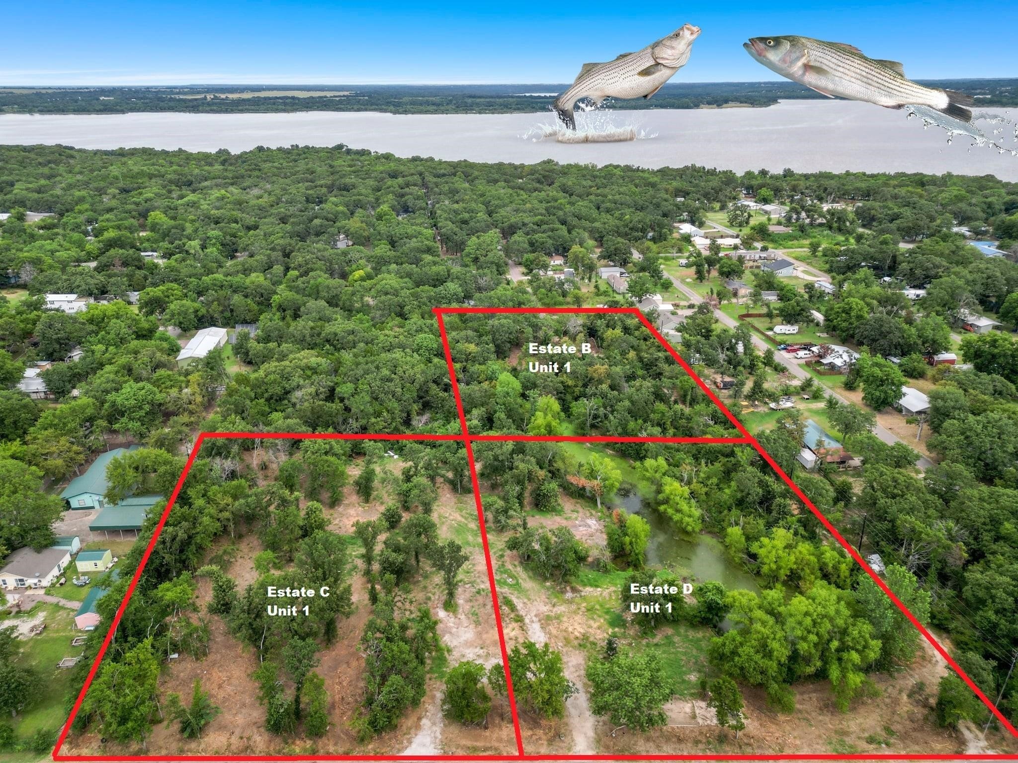 Tbd George A. Green Drive Gordonville TX 76245