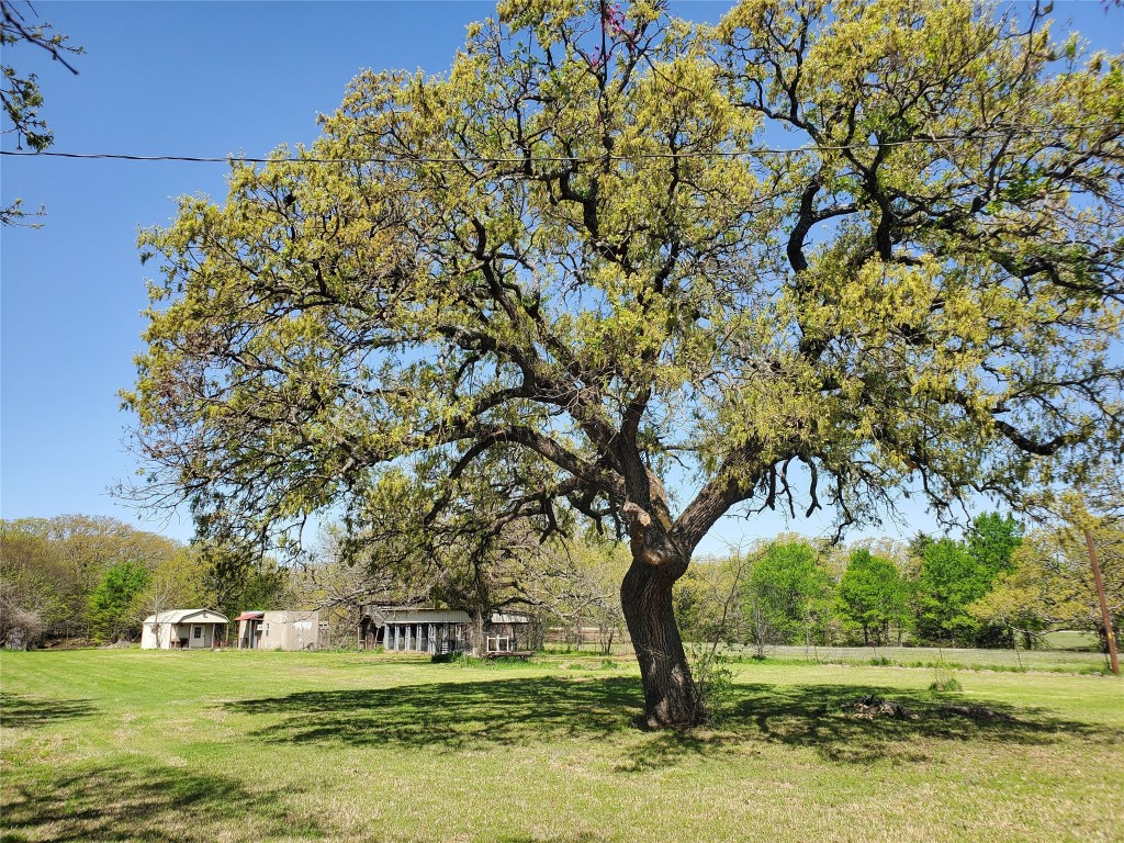 1400 Rose Lane Kemp TX 75143
