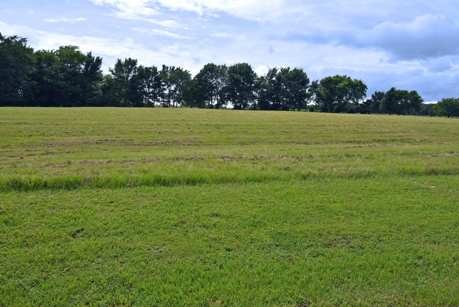 0000 Private Road 5986 Yantis TX 75497