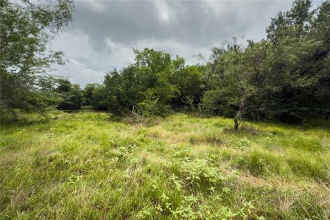 Lot 5 County Road 173 Marlin TX 76661