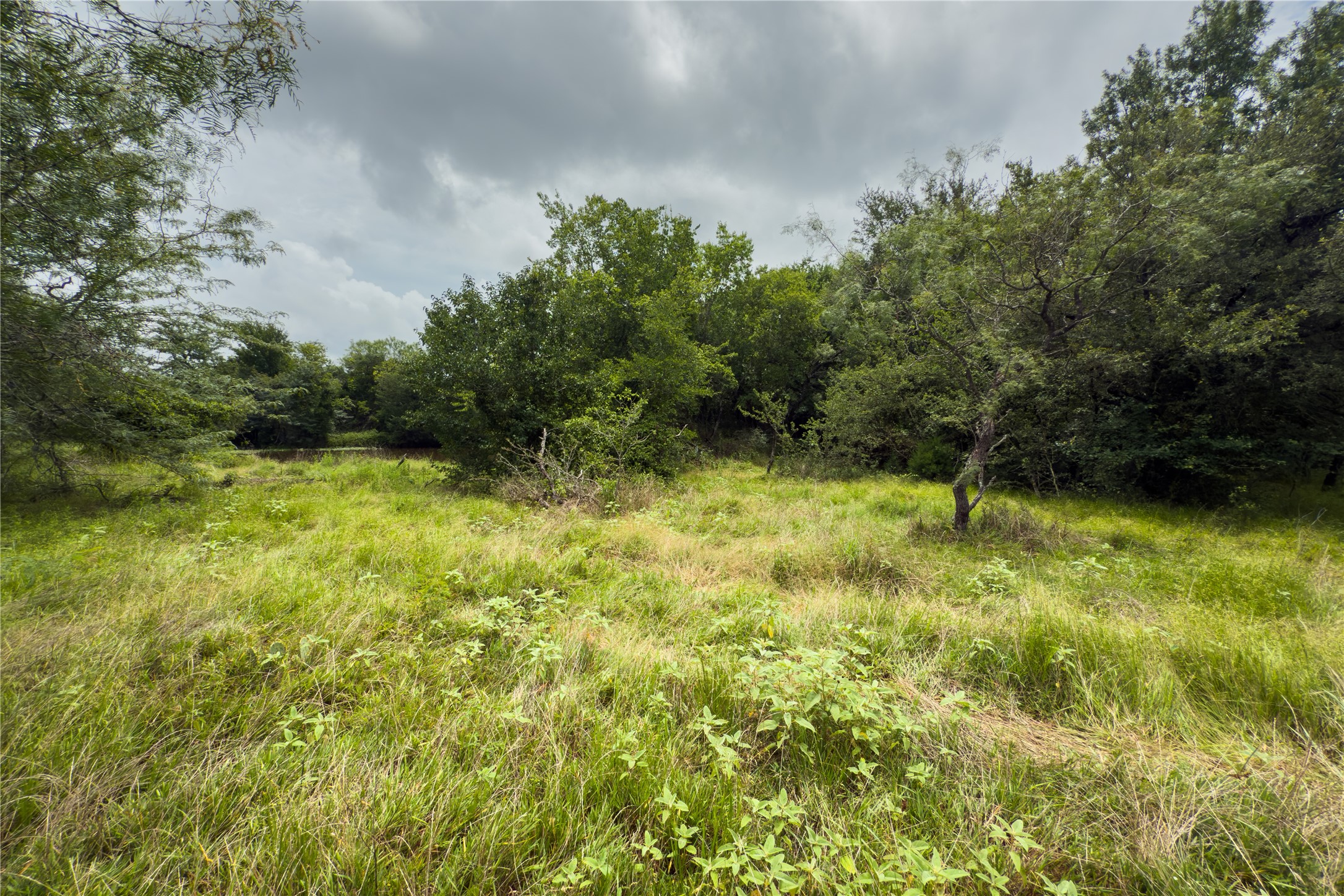 Lot 5 County Road 173 Marlin TX 76661