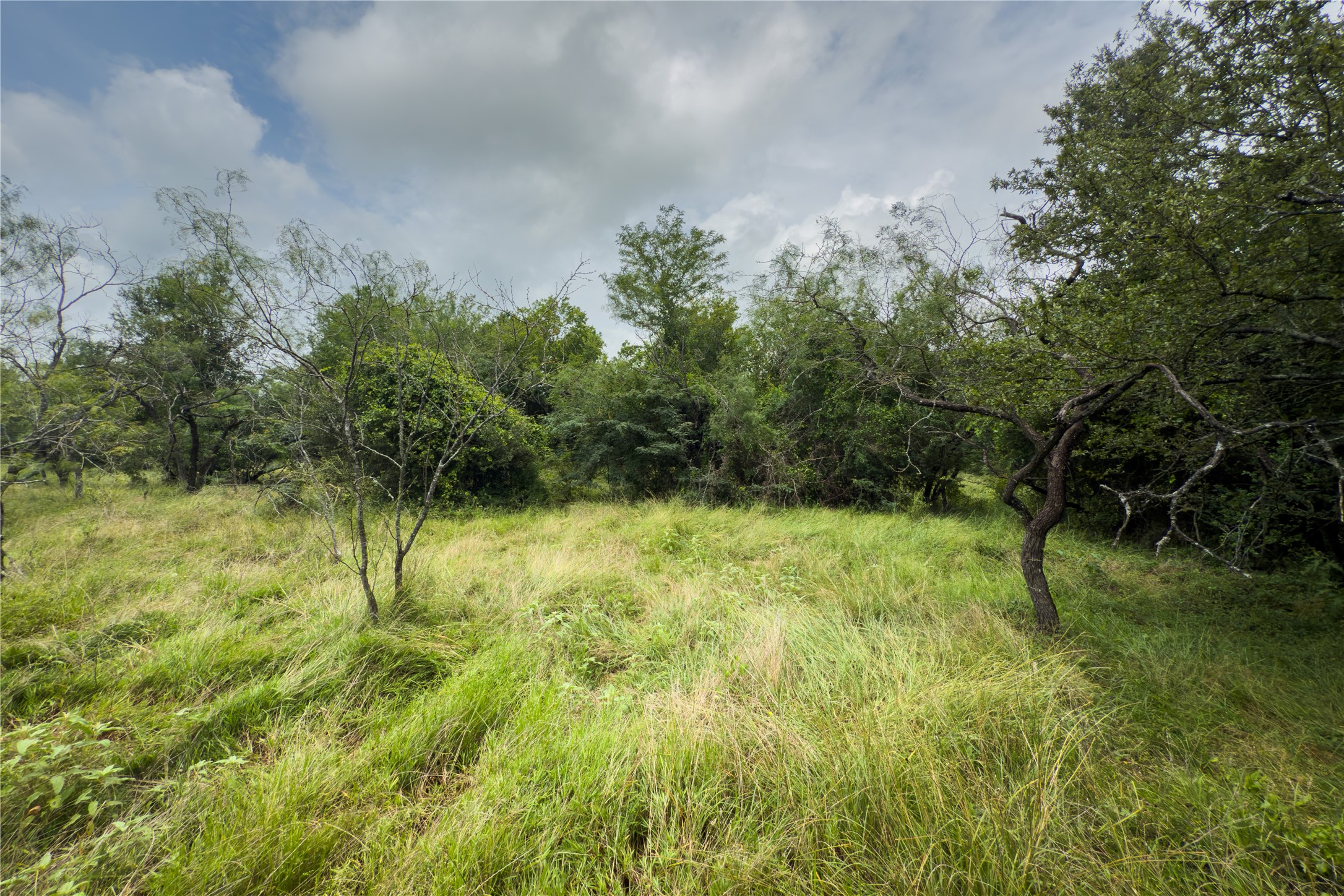 Lot 5 County Road 173 Marlin TX 76661