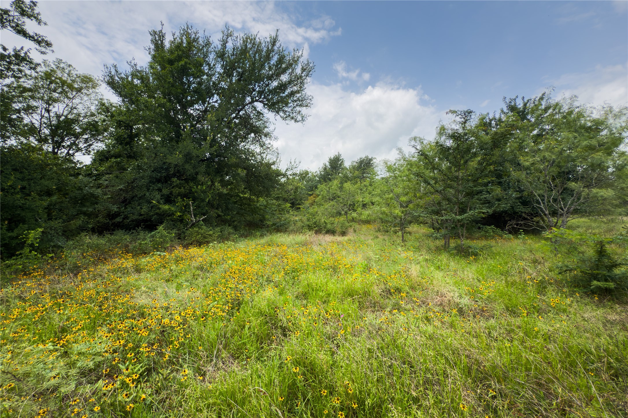 Lot 5 County Road 173 Marlin TX 76661