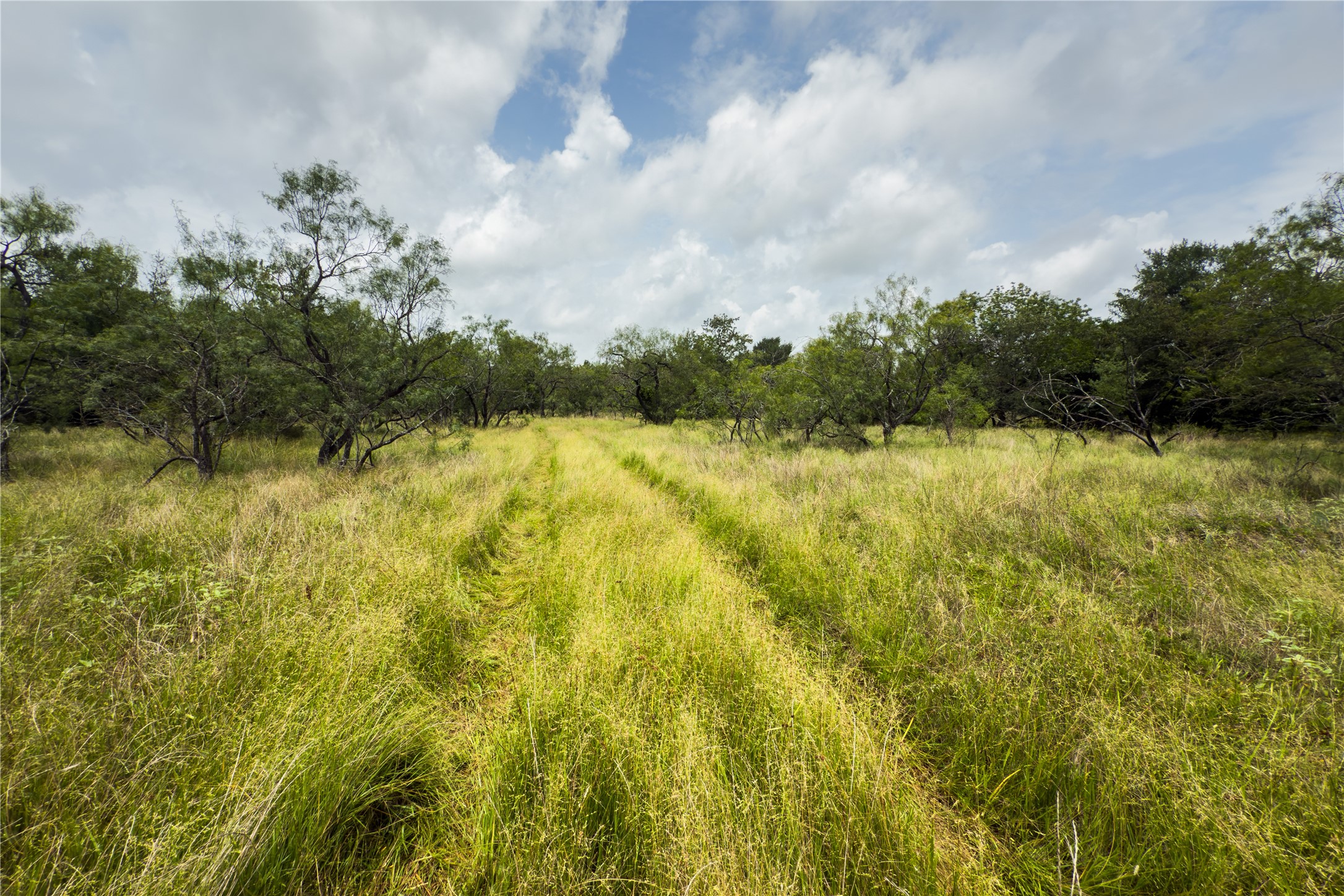 Lot 5 County Road 173 Marlin TX 76661