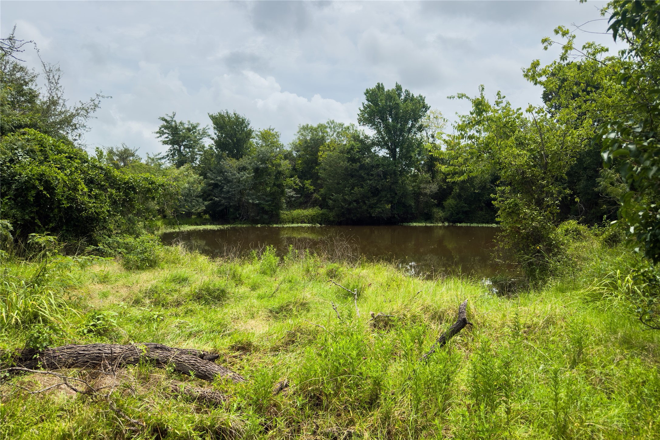 Lot 5 County Road 173 Marlin TX 76661