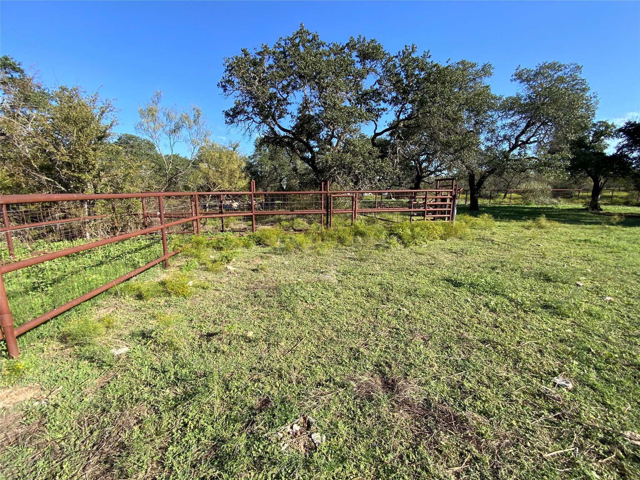 Tbd County Road 386 Carlton TX 76436