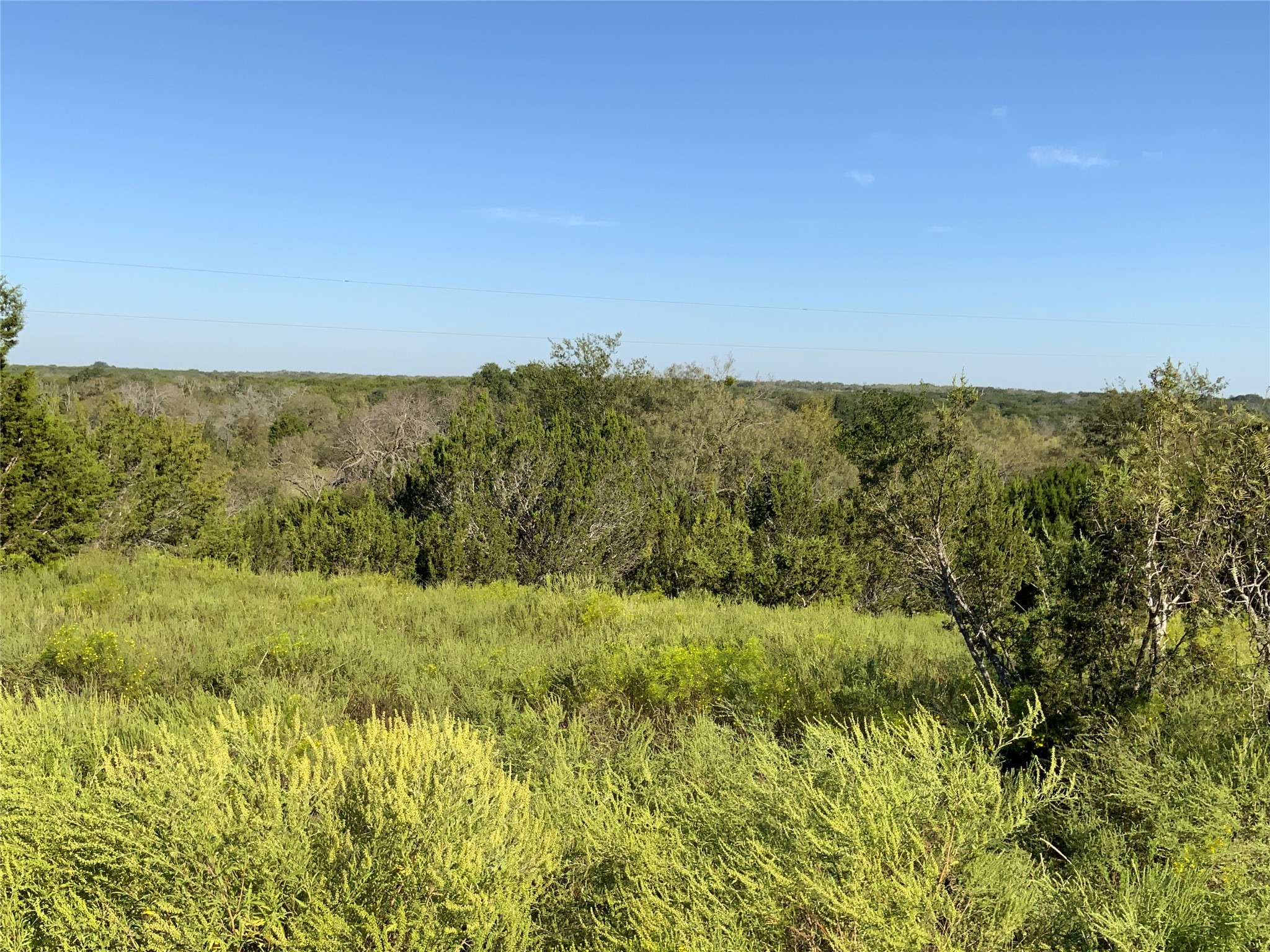 Tbd County Road 386 Carlton TX 76436