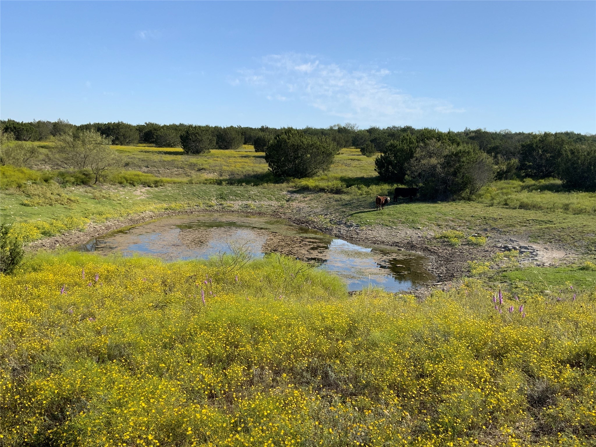 Tbd County Road 386 Carlton TX 76436