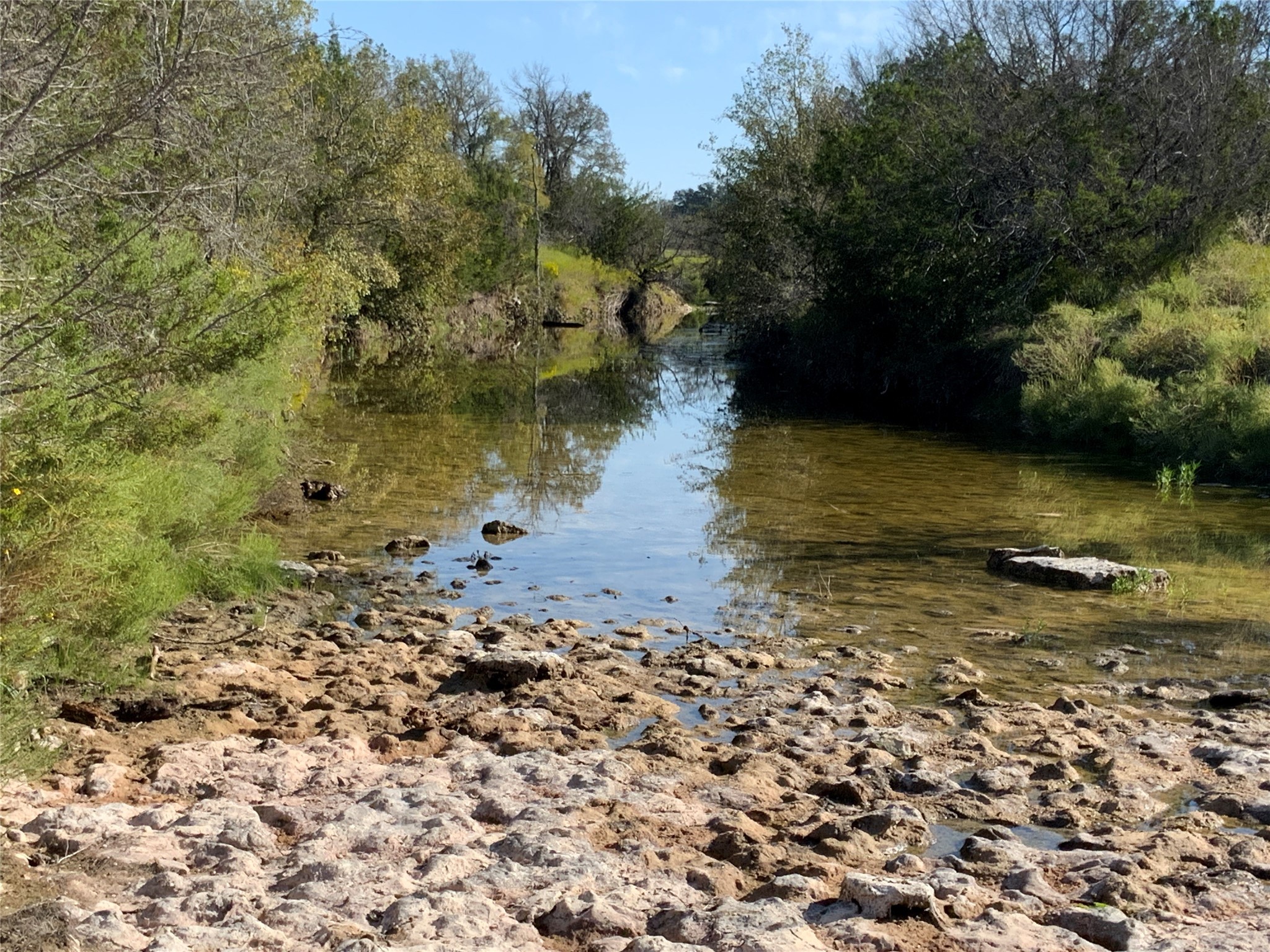 Tbd County Road 386 Carlton TX 76436