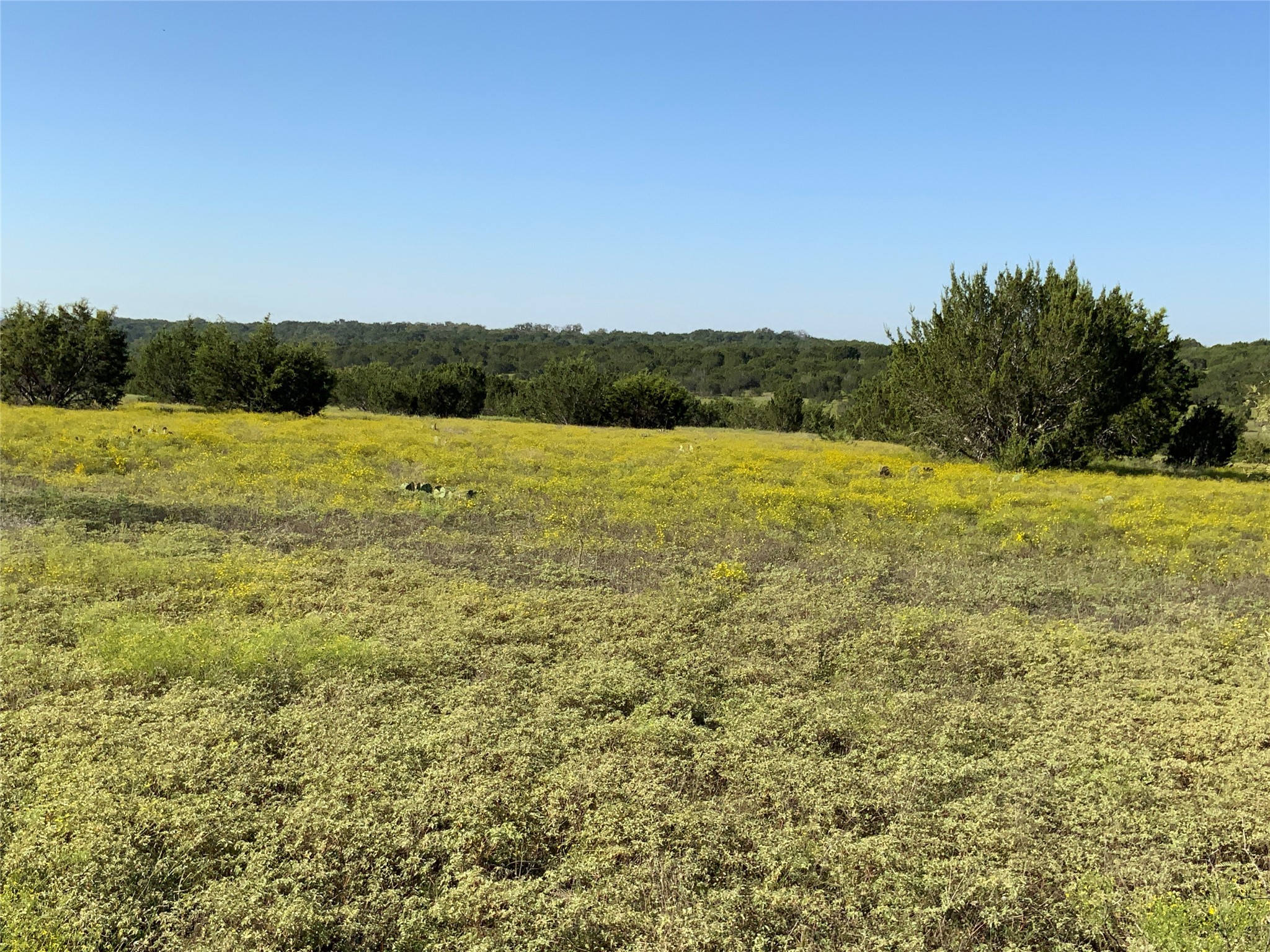 Tbd County Road 386 Carlton TX 76436