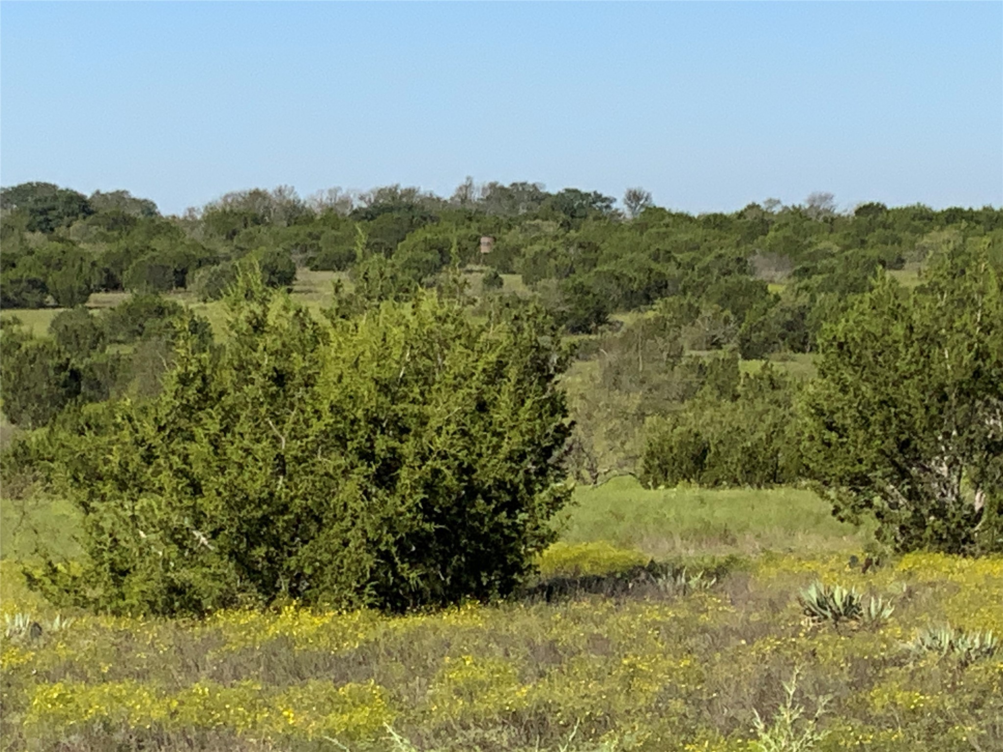 Tbd County Road 386 Carlton TX 76436