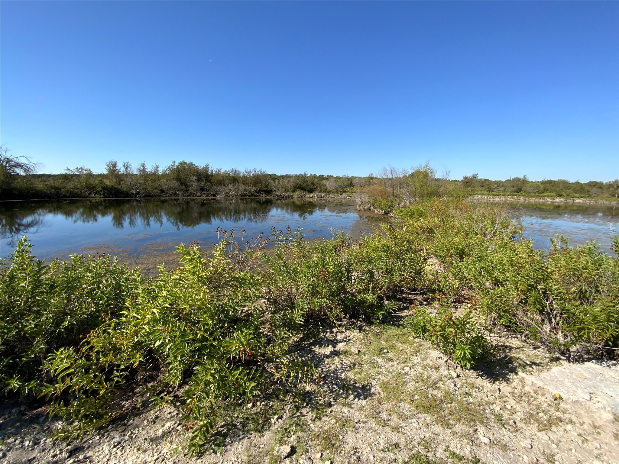 Tbd County Road 386 Carlton TX 76436
