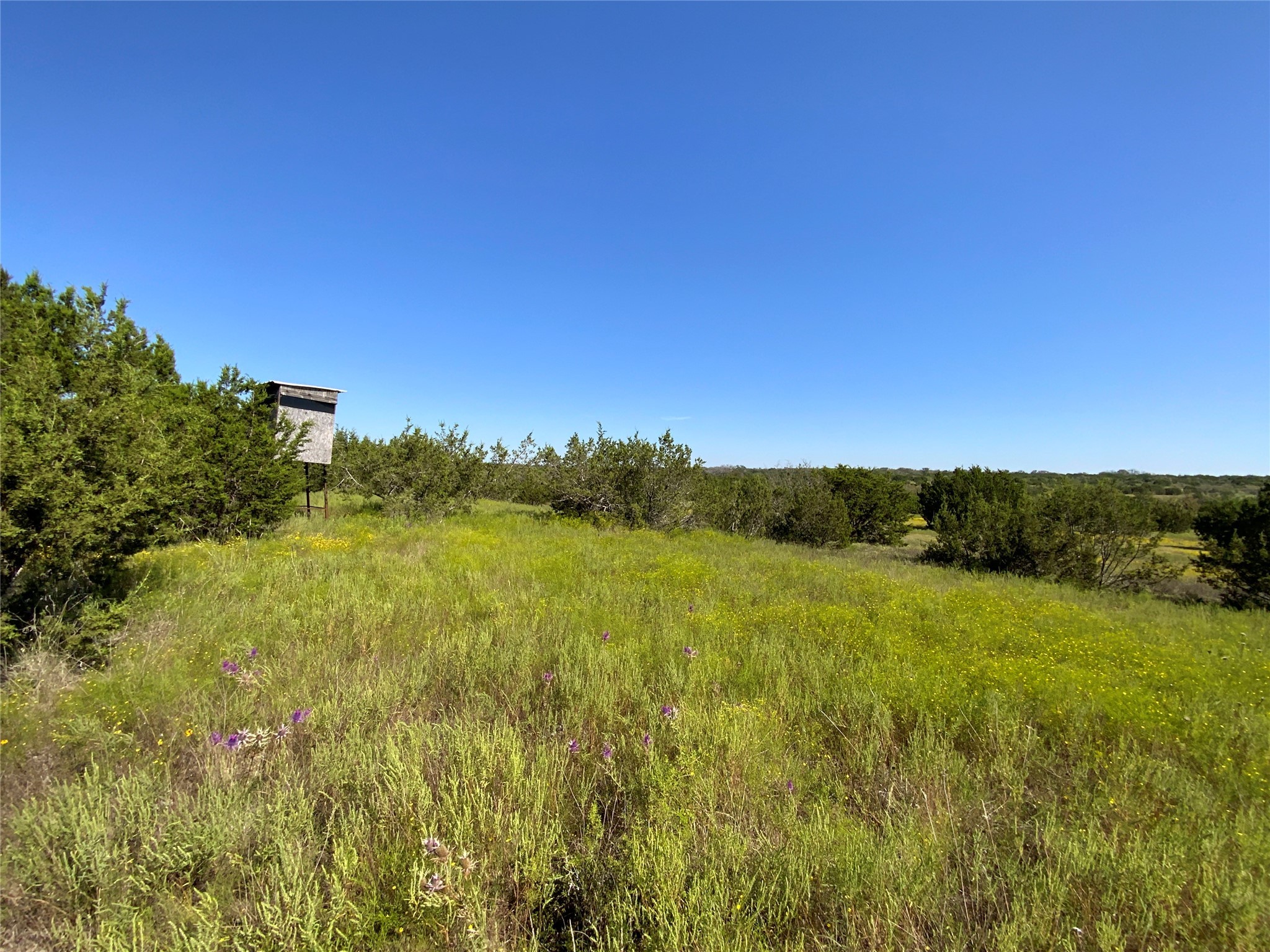 Tbd County Road 386 Carlton TX 76436