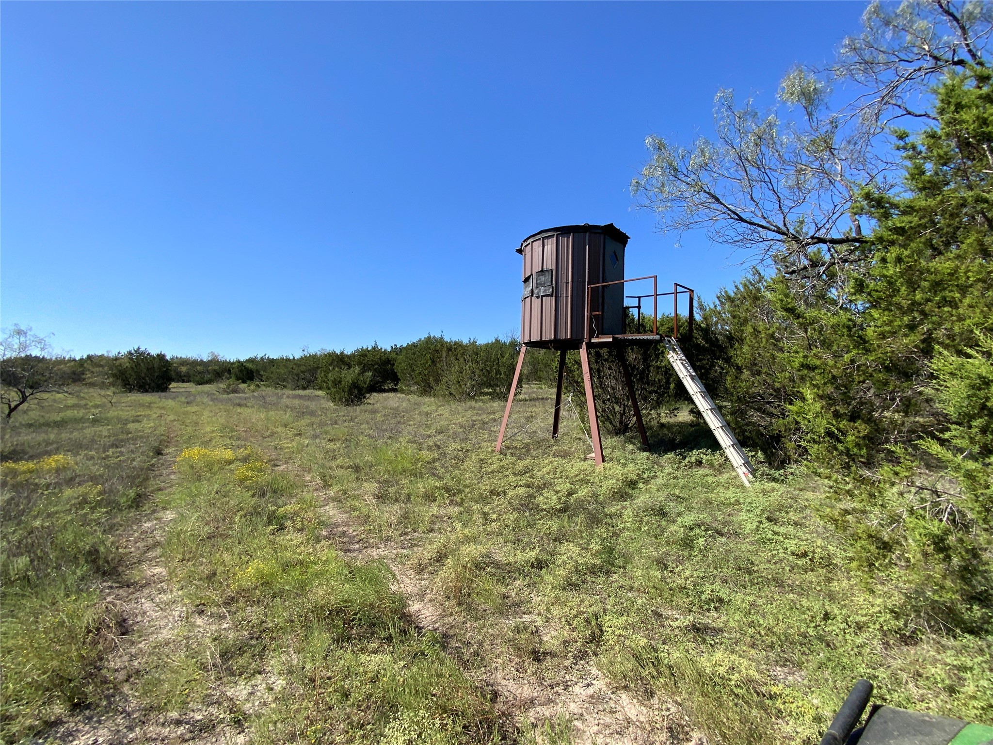 Tbd County Road 386 Carlton TX 76436