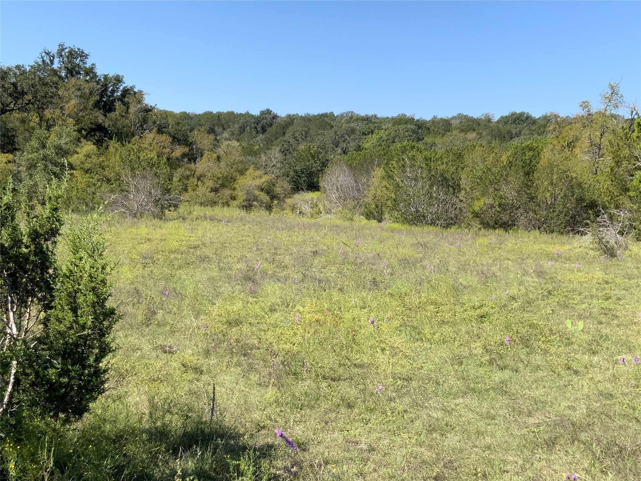 Tbd County Road 386 Carlton TX 76436