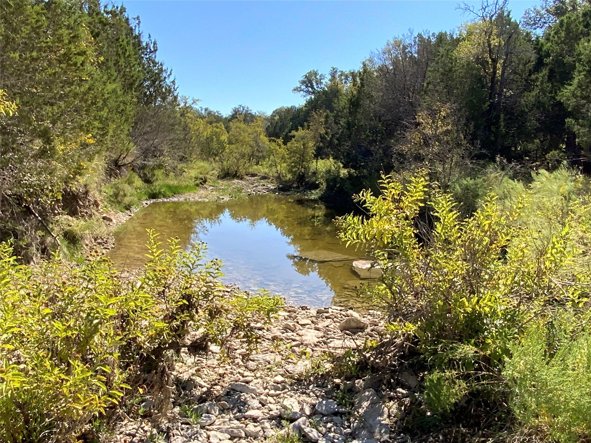 Tbd County Road 386 Carlton TX 76436