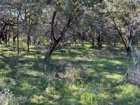 Tbd County Road 386 Carlton TX 76436