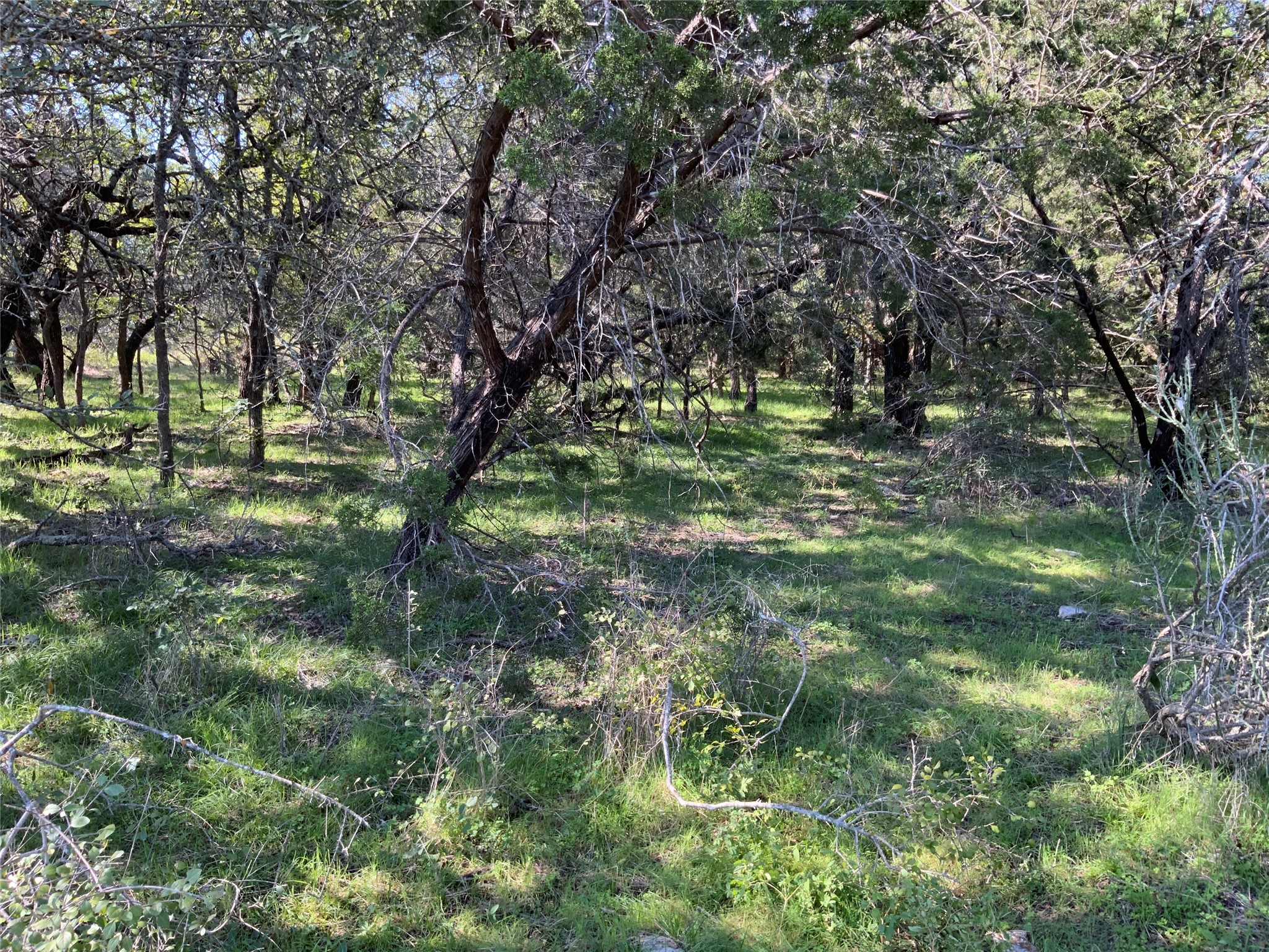 Tbd County Road 386 Carlton TX 76436