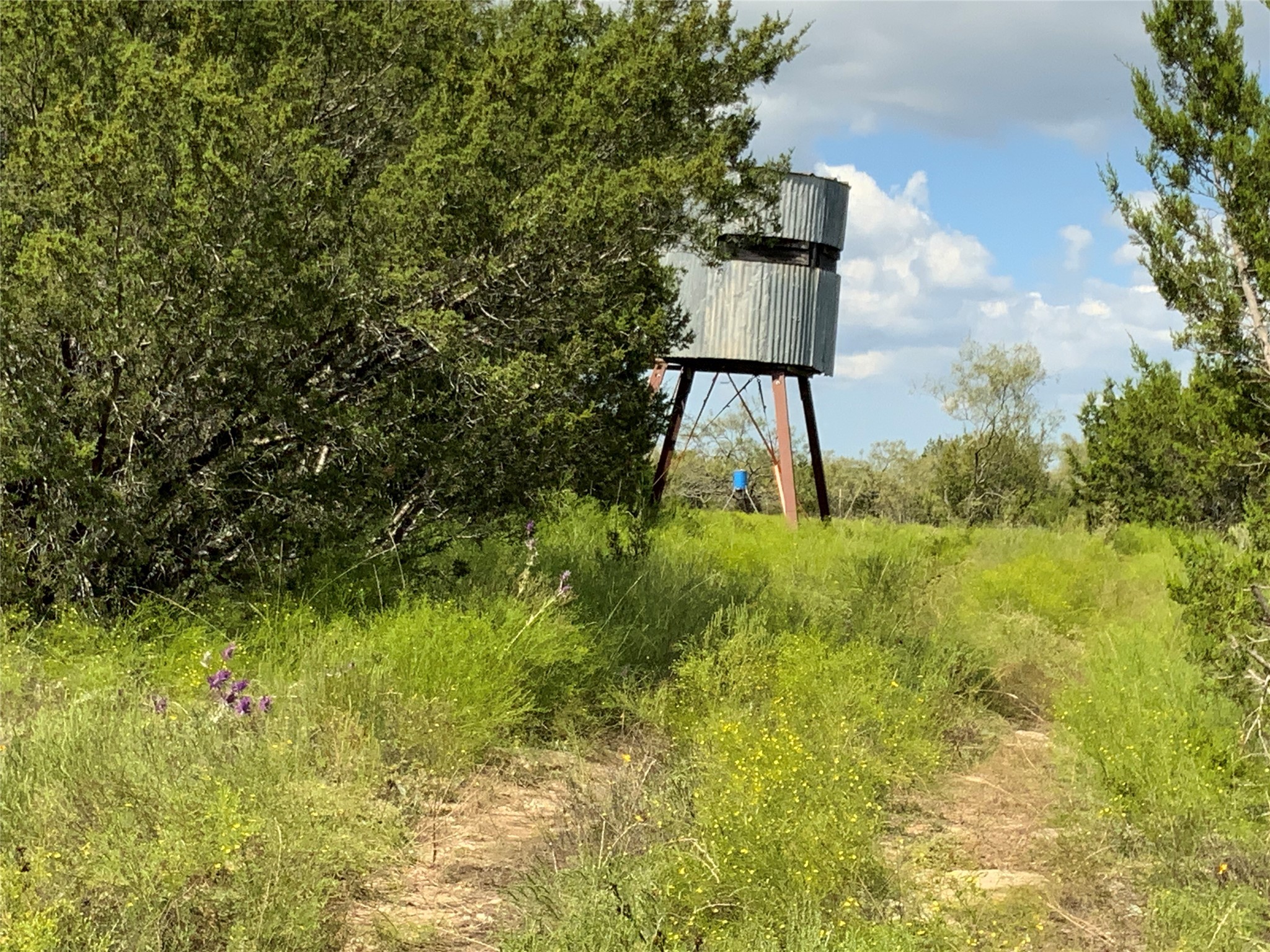 Tbd County Road 386 Carlton TX 76436