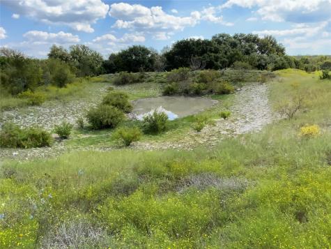 Tbd County Road 386 Carlton TX 76436