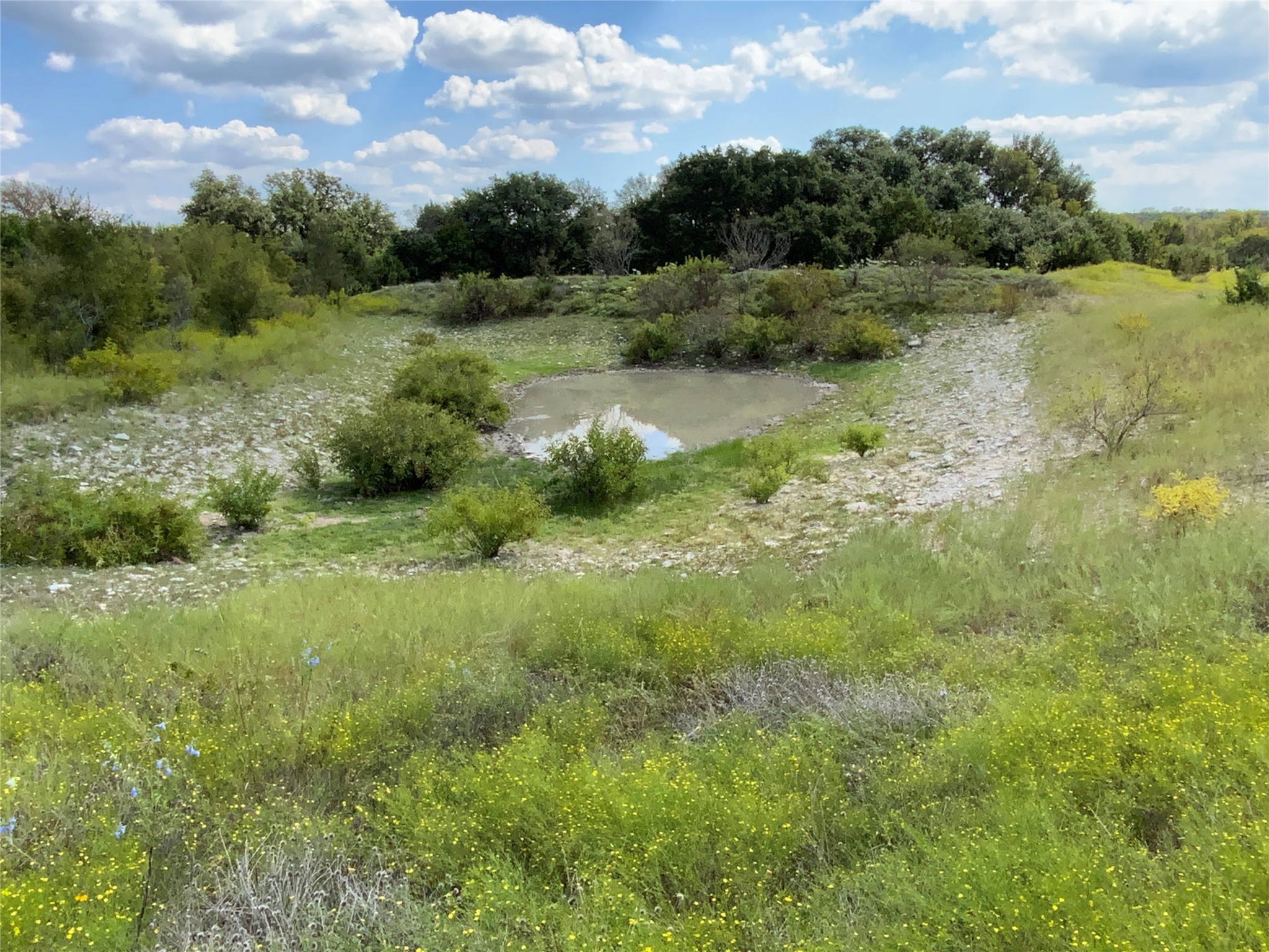Tbd County Road 386 Carlton TX 76436