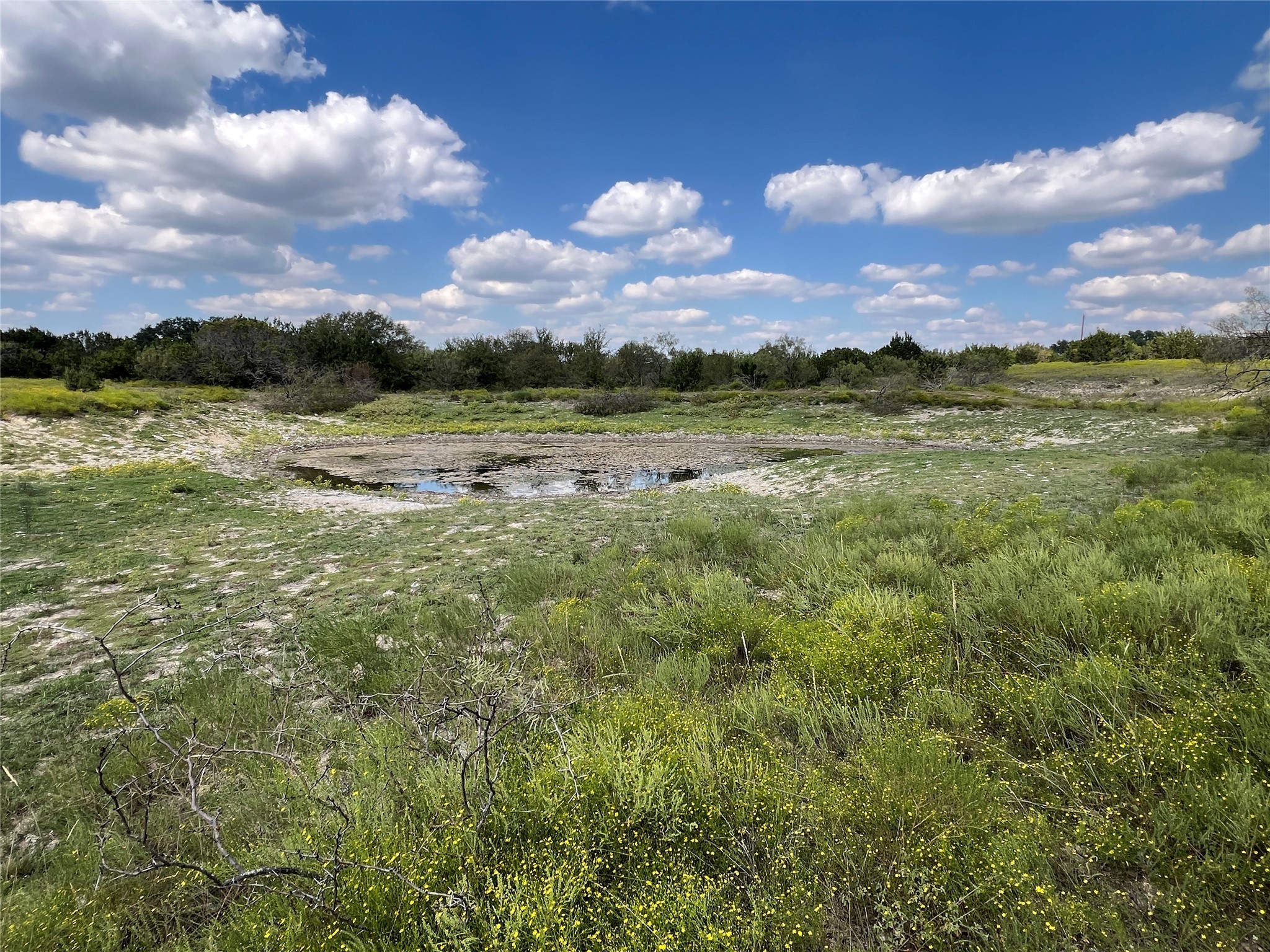 Tbd County Road 386 Carlton TX 76436