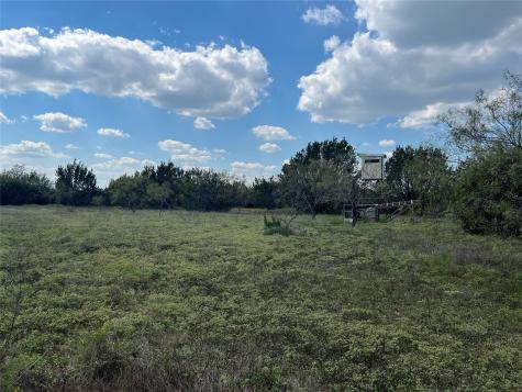 Tbd County Road 386 Carlton TX 76436