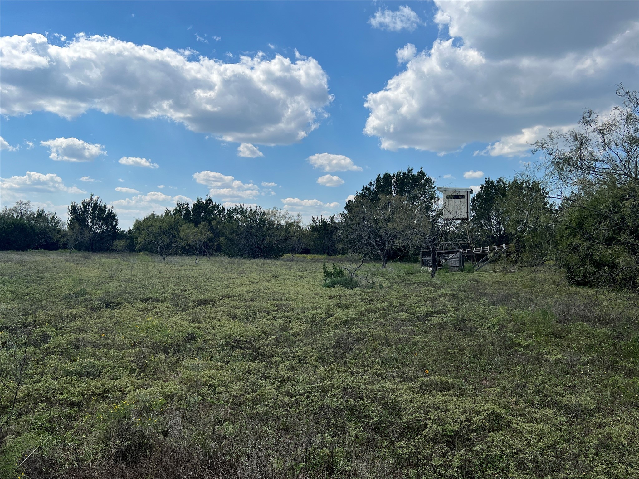 Tbd County Road 386 Carlton TX 76436
