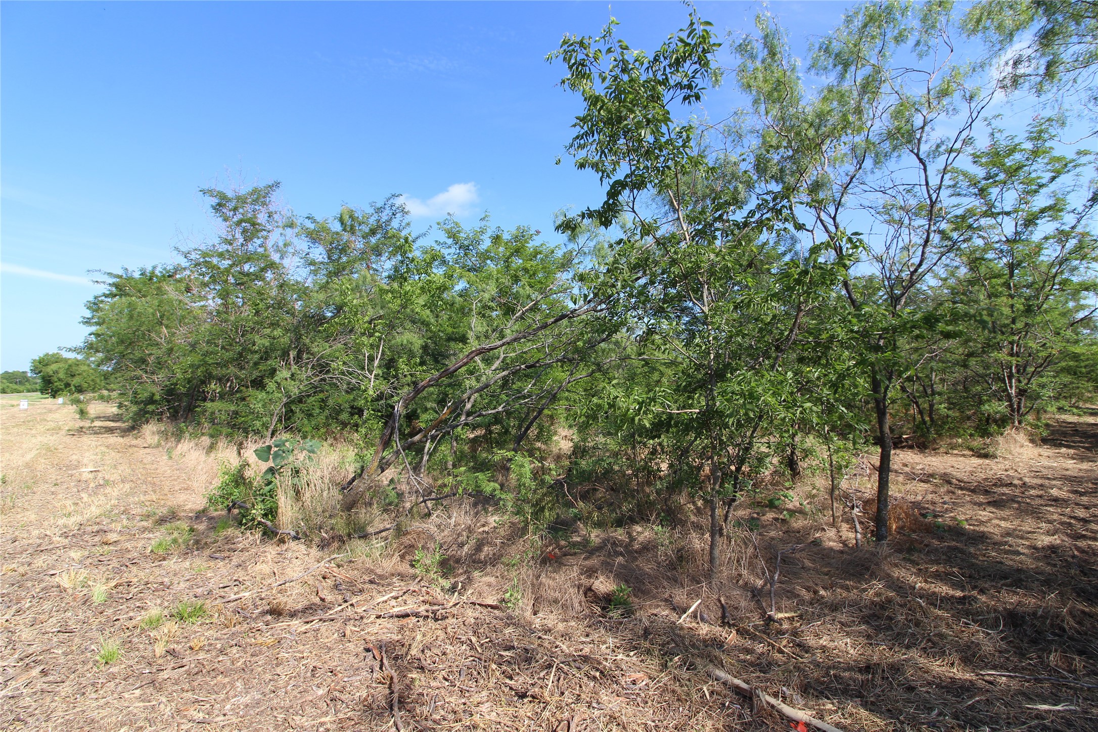 Tbd Lot 6 Fm 2860 Kaufman TX 75142