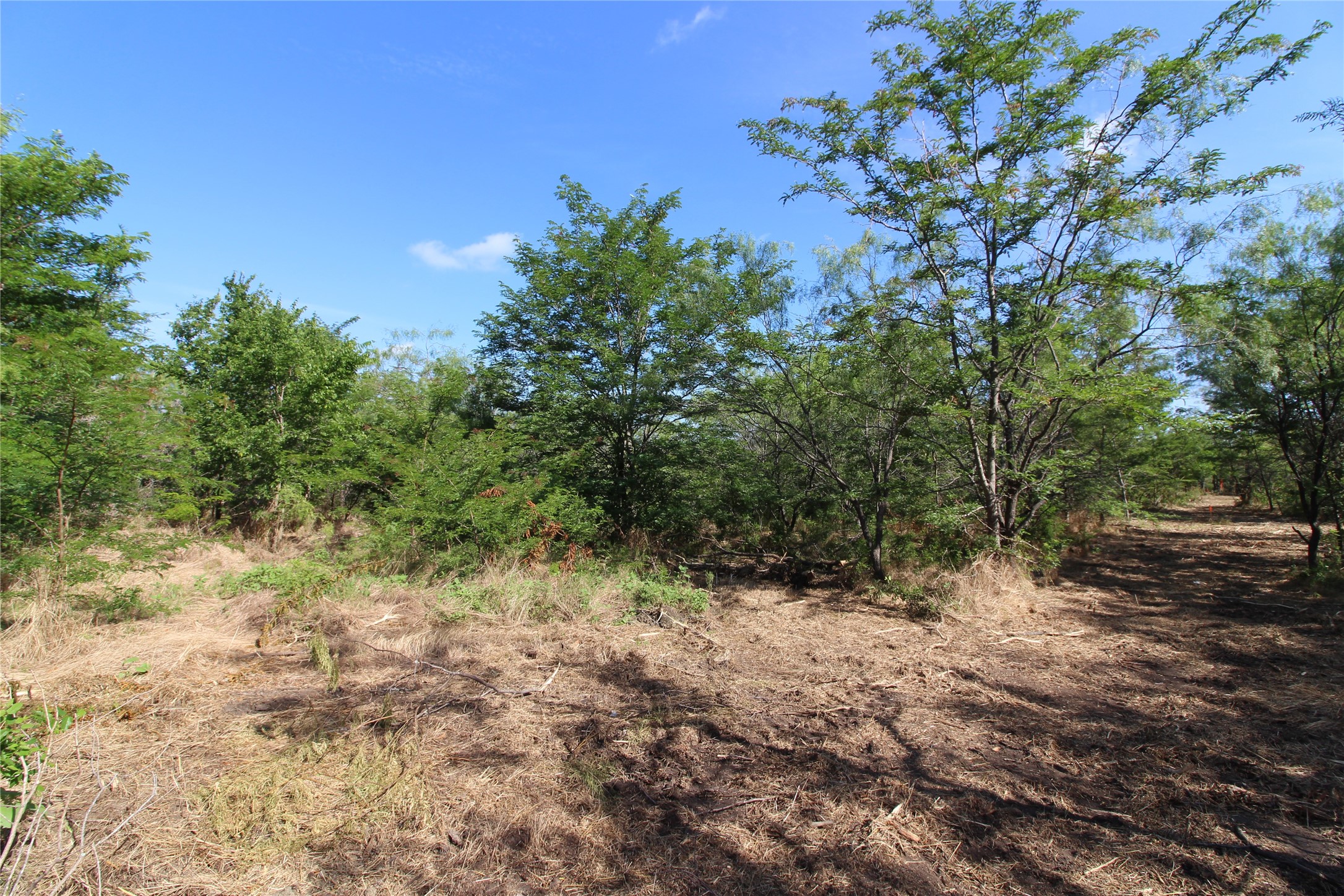 Tbd Lot 6 Fm 2860 Kaufman TX 75142