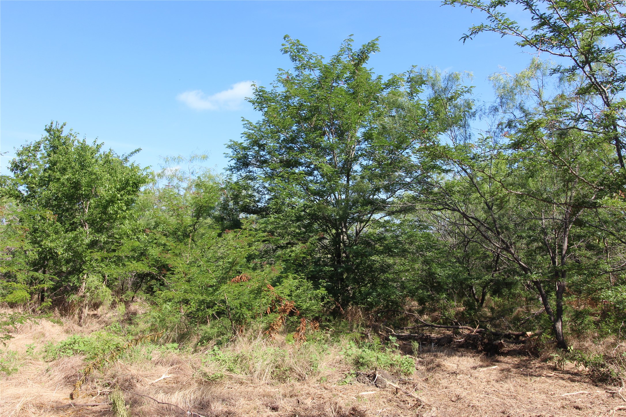 Tbd Lot 6 Fm 2860 Kaufman TX 75142