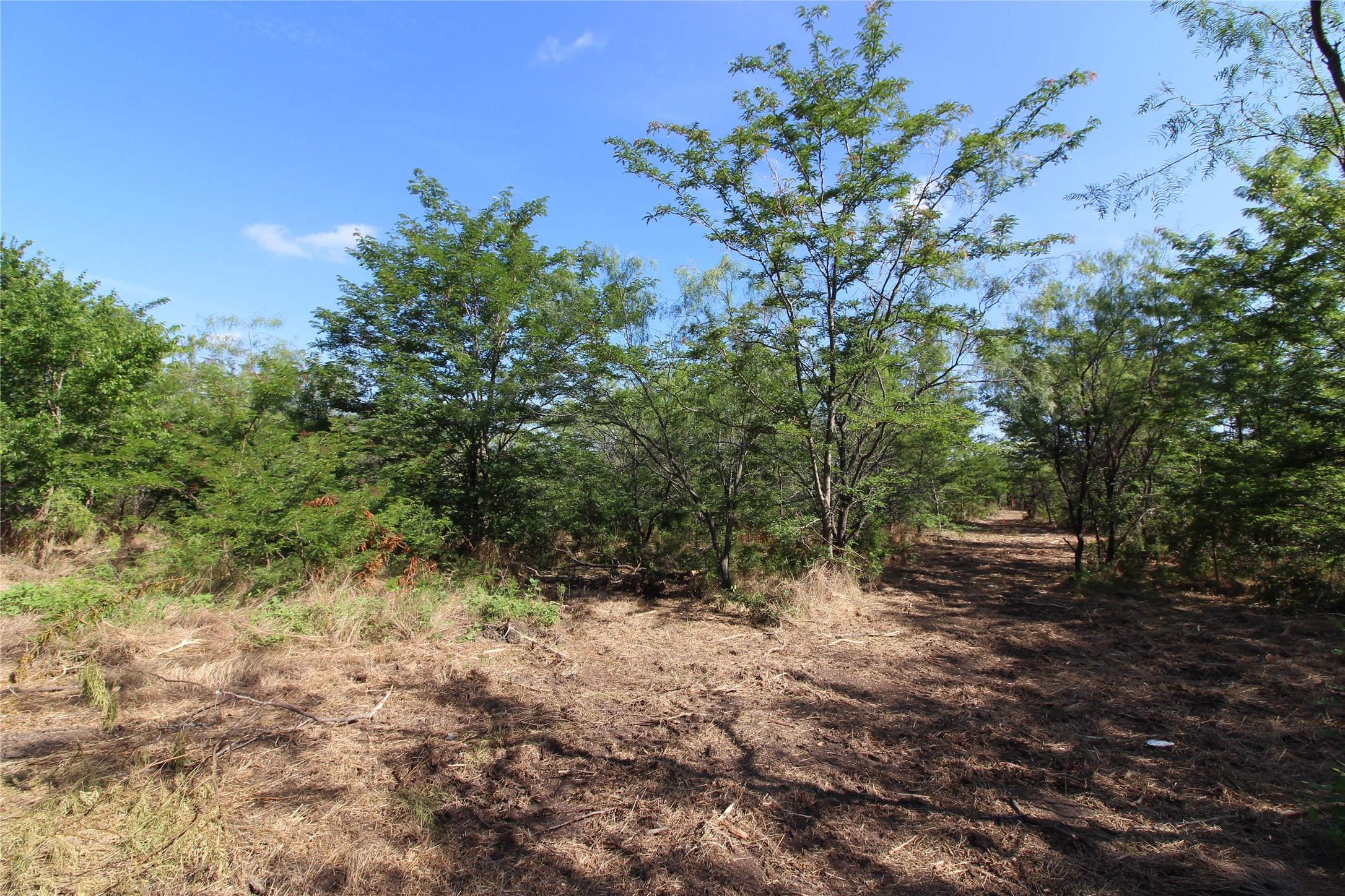 Tbd Lot 6 Fm 2860 Kaufman TX 75142