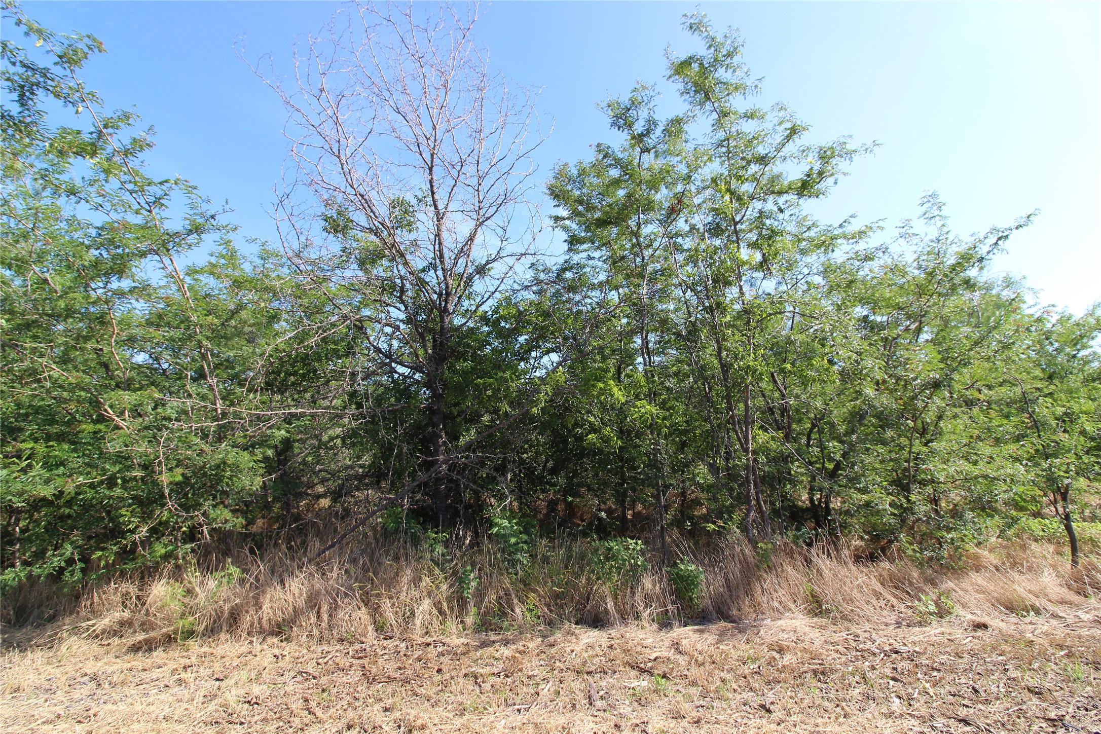 Tbd Lot 6 Fm 2860 Kaufman TX 75142