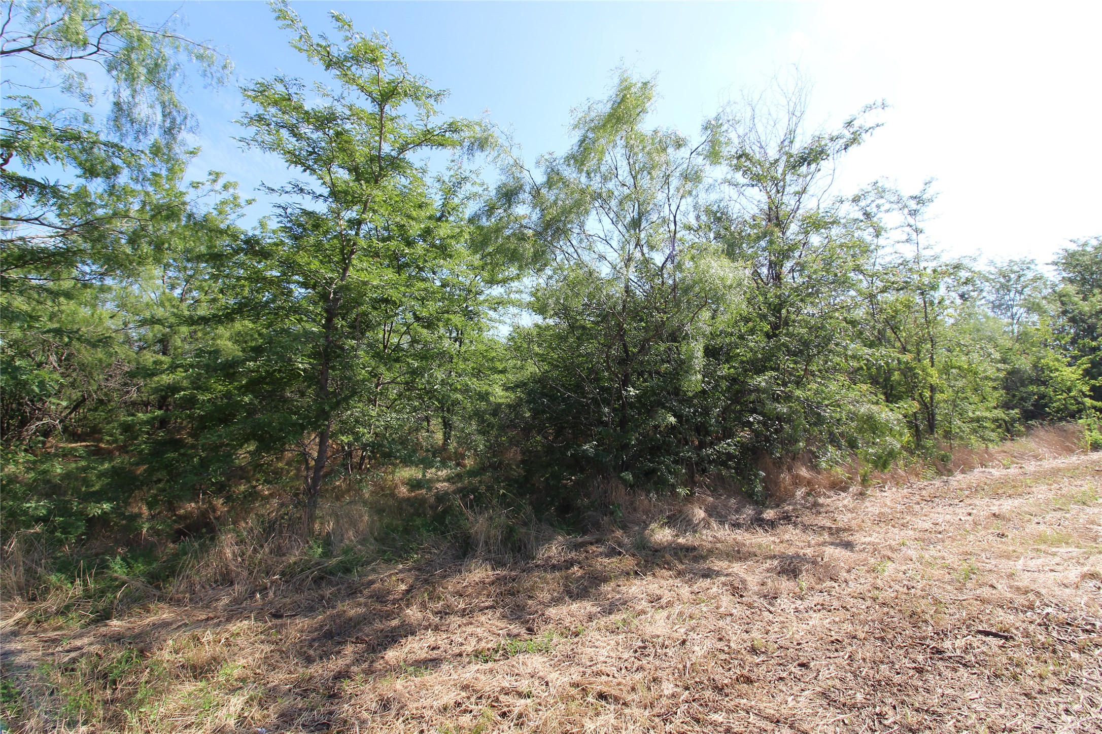 Tbd Lot 6 Fm 2860 Kaufman TX 75142