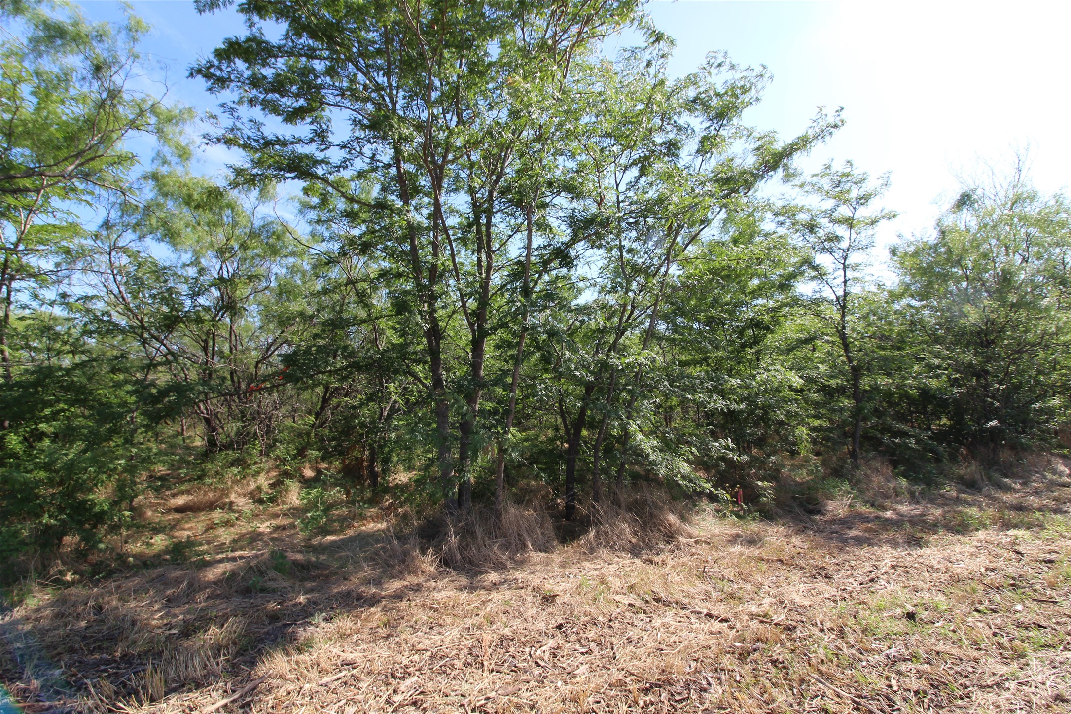 Tbd Lot 6 Fm 2860 Kaufman TX 75142